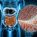 Peran Penting Mikrobioma Usus dalam Kesehatan dan Keseimbangan Tubuh